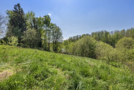 Galerie - Stavební pozemek s výhledem na rybník